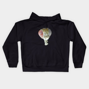 Head of Drosophila under the microscope Kids Hoodie